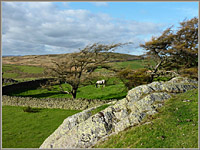 Firbank Fell: site of chapel and graveyard from Fox�s Pulpit