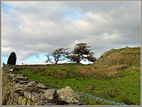 Fox�s Pulpit and old churchyard from the road