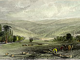 Lower reaches of River 
			Derwent, County Durham