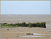 Bay Walk from 
			Hest Bank
