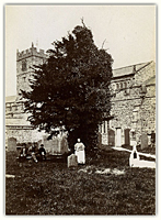 Sedbergh: Foxs yew