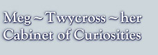 Meg Twycross her Cabinet of Curiosities